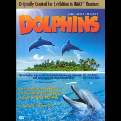 FEATURE: Dolphins