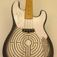 Last Chance To Bid On Two Auction Packages To Benefit The Rainforest Fund Featuring A Meet & Greet With Sting, A Signed Guitar, And More!