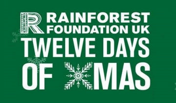 Rainforest Foundation UK's 12 Days of Christmas auction...