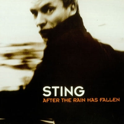 After The Rain Has Fallen, CD