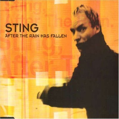 After The Rain Has Fallen, CD