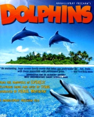 FEATURE: Dolphins