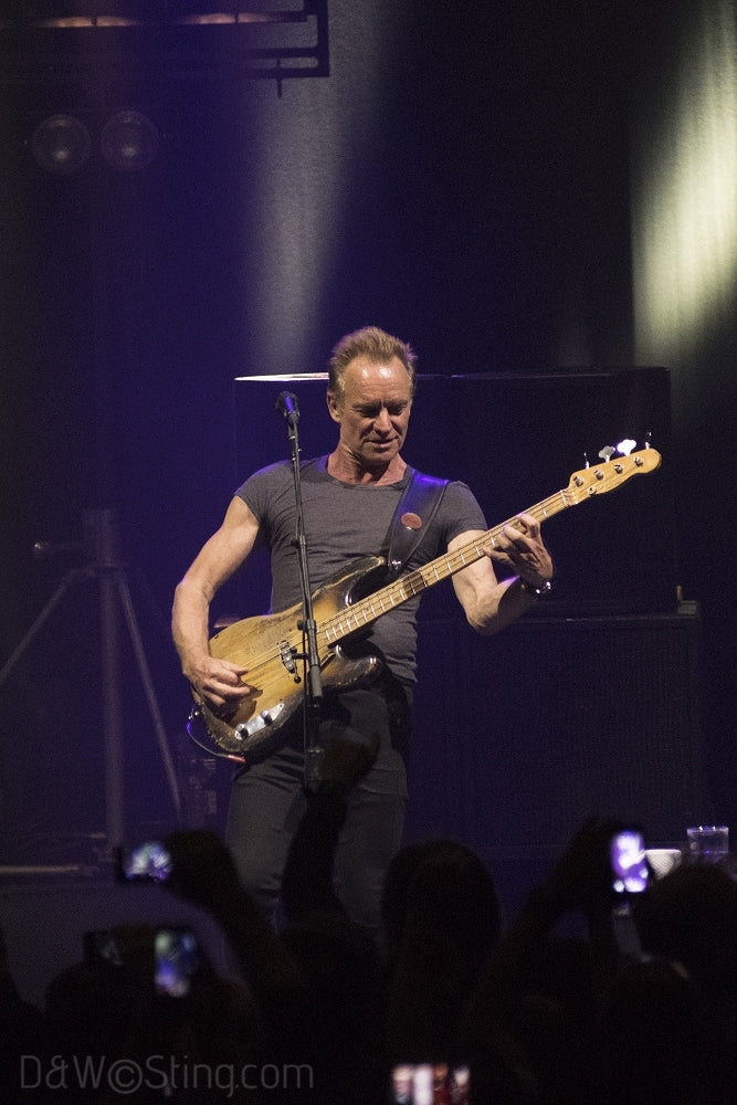 Sting, Joe Sumner and The Last Bandoleros performing in London on April 10, 2017. ©DW/Sting.com