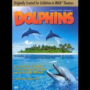 FEATURE: Dolphins