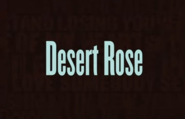 Sting Discusses MY SONGS - Desert Rose