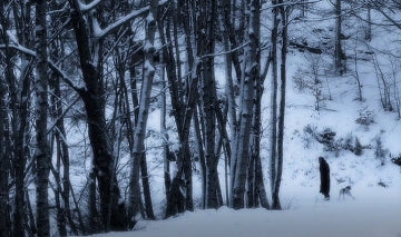 If On A Winters Night EPK
